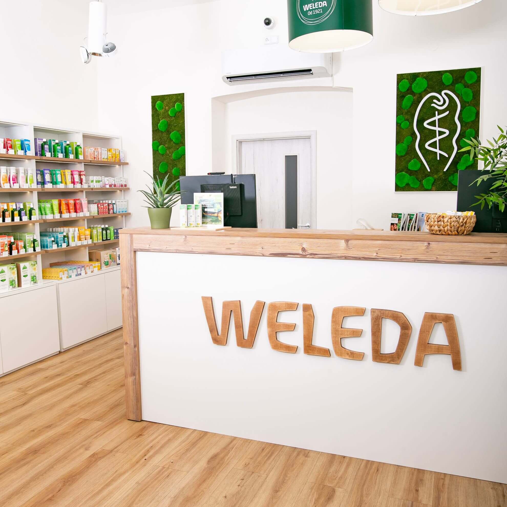 náladová fotografie modré květiny